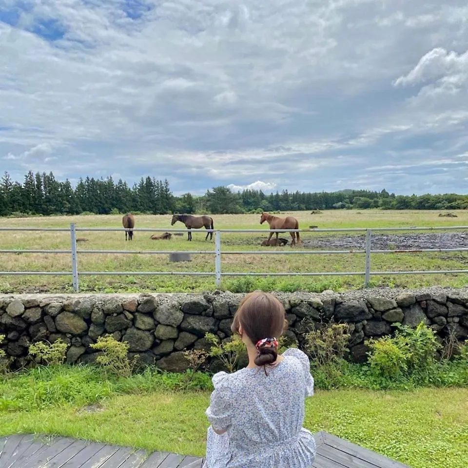Holiday home Like Jeju Villa